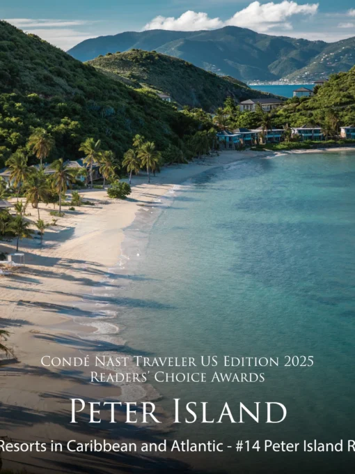 560013197 1211205307721351 6530896733442484315 n